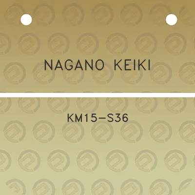 nagano-keiki-km15-s36