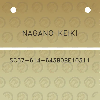 nagano-keiki-sc37-614-643b0be10311