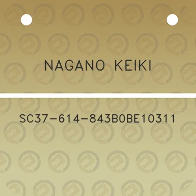 nagano-keiki-sc37-614-843b0be10311