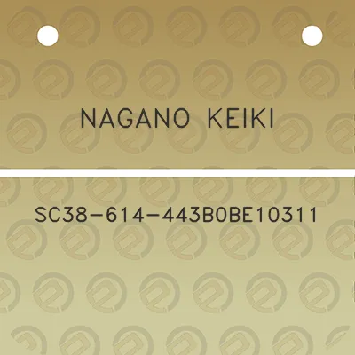 nagano-keiki-sc38-614-443b0be10311