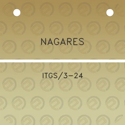 nagares-itgs3-24