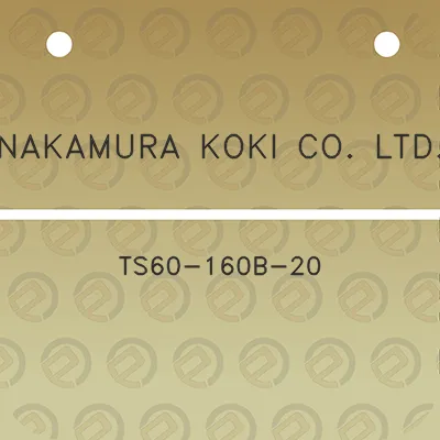 nakamura-koki-co-ltd-ts60-160b-20