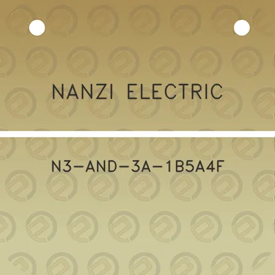 nanzi-electric-n3-and-3a-1b5a4f