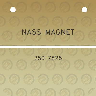 nass-magnet-250-7825