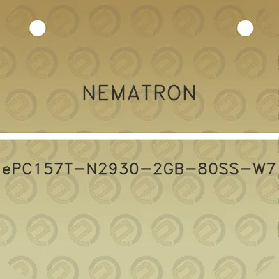 nematron-epc157t-n2930-2gb-80ss-w7