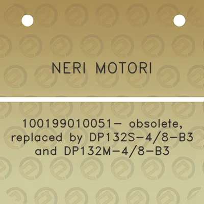 neri-motori-100199010051-obsolete-replaced-by-dp132s-48-b3-and-dp132m-48-b3