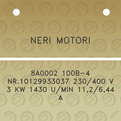 neri-motori-8a0002-100b-4-nr10129933037-230400-v-3-kw-1430-umin-112644-a