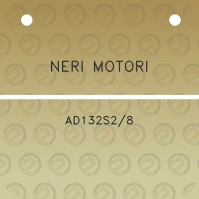 neri-motori-ad132s28