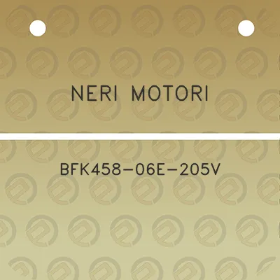 neri-motori-bfk458-06e-205v