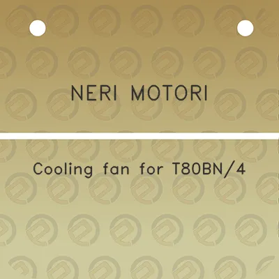 neri-motori-cooling-fan-for-t80bn4