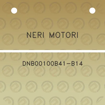 neri-motori-dnb00100b41-b14