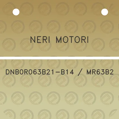 neri-motori-dnb0r063b21-b14-mr63b2