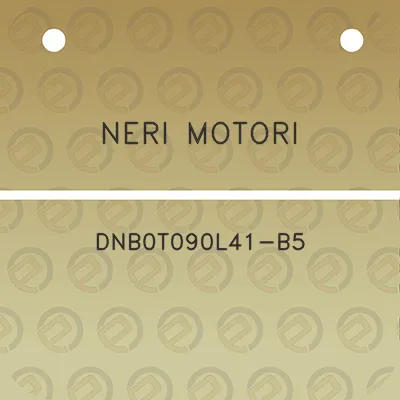 neri-motori-dnb0t090l41-b5