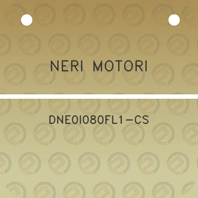 neri-motori-dne0i080fl1-cs