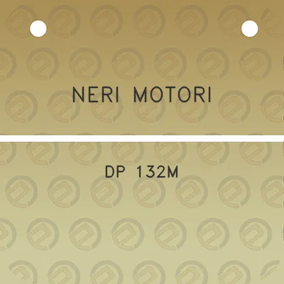 neri-motori-dp-132m