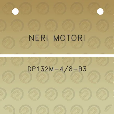 neri-motori-dp132m-48-b3