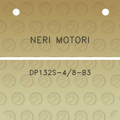 neri-motori-dp132s-48-b3