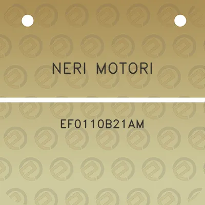 neri-motori-ef0110b21am