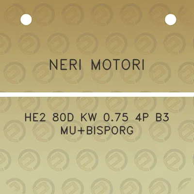 neri-motori-he2-80d-kw-075-4p-b3-mubisporg