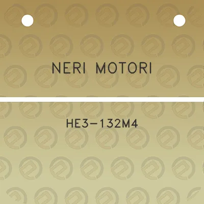 neri-motori-he3-132m4