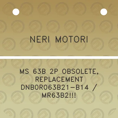 neri-motori-ms-63b-2p-obsolete-replacement-dnb0r063b21-b14-mr63b2