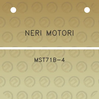 neri-motori-mst71b-4