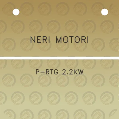 neri-motori-p-rtg-22kw