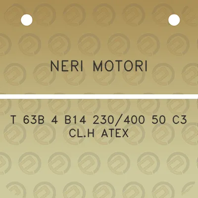 neri-motori-t-63b-4-b14-230400-50-c3-clh-atex