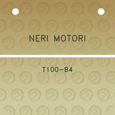 neri-motori-t100-b4