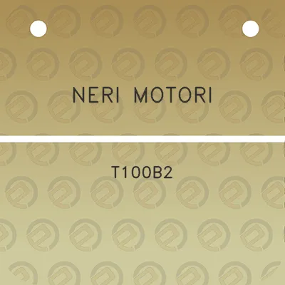 neri-motori-t100b2