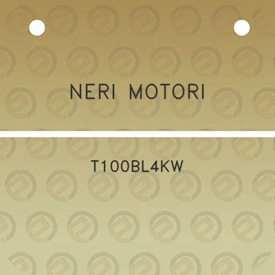 neri-motori-t100bl4kw