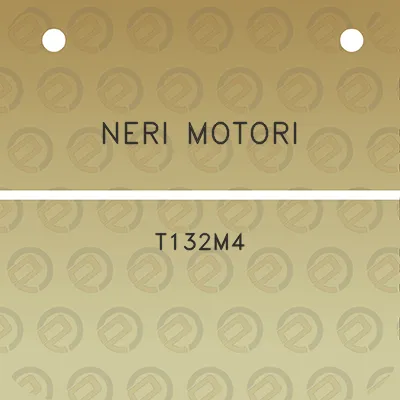 neri-motori-t132m4