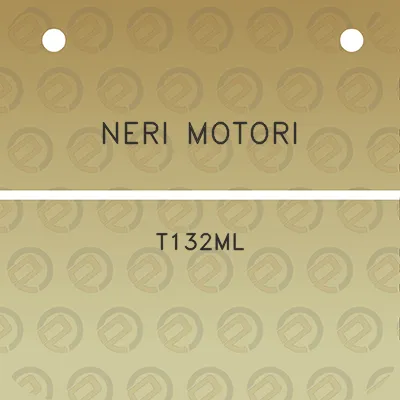 neri-motori-t132ml