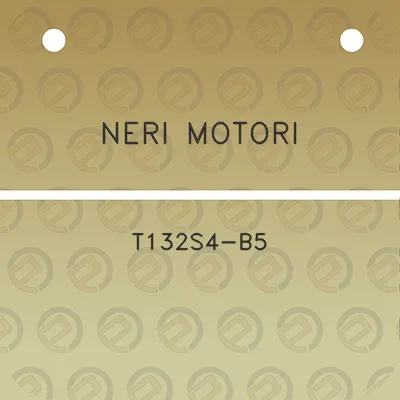 neri-motori-t132s4-b5