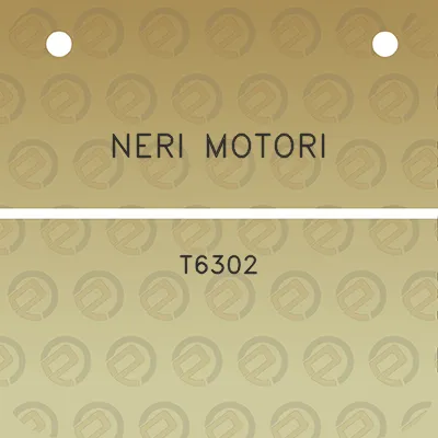 neri-motori-t6302