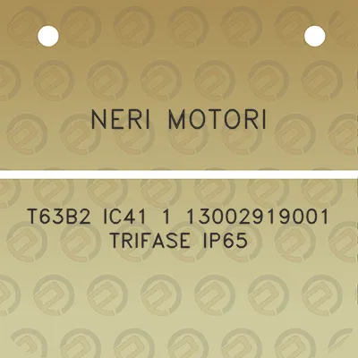 neri-motori-t63b2-ic41-1-13002919001-trifase-ip65