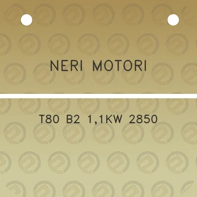 neri-motori-t80-b2-11kw-2850