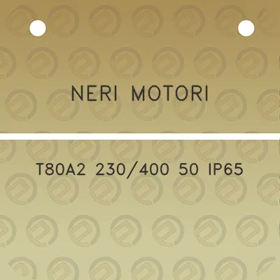 neri-motori-t80a2-230400-50-ip65