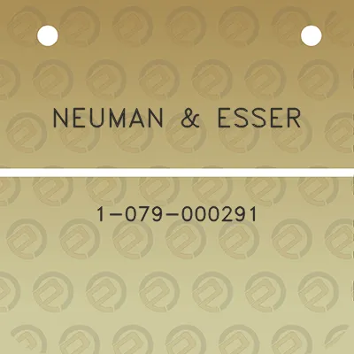 neuman-esser-1-079-000291