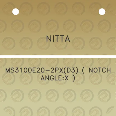 nitta-ms3100e20-2pxd3-notch-anglex