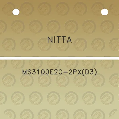 nitta-ms3100e20-2pxd3