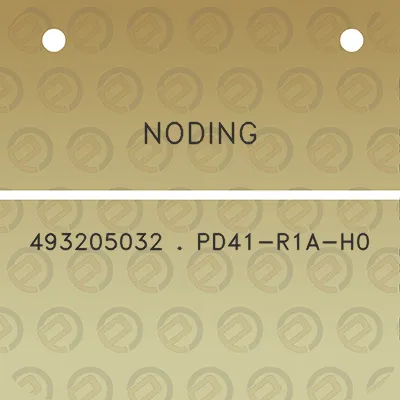 noding-493205032-pd41-r1a-h0