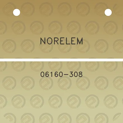 norelem-06160-308