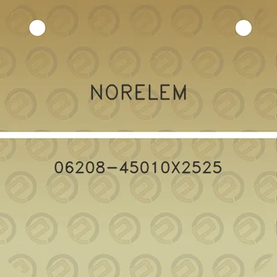 norelem-06208-45010x2525