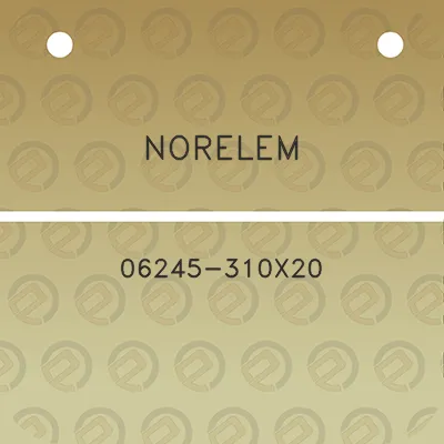 norelem-06245-310x20