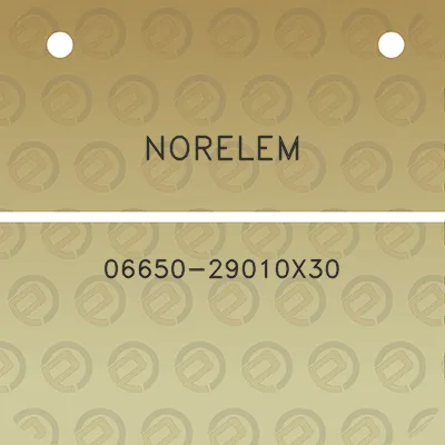 norelem-06650-29010x30