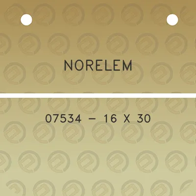 norelem-07534-16-x-30