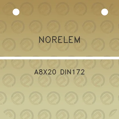 norelem-a8x20-din172