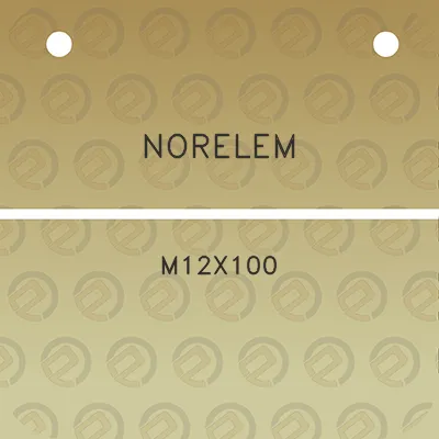 norelem-m12x100