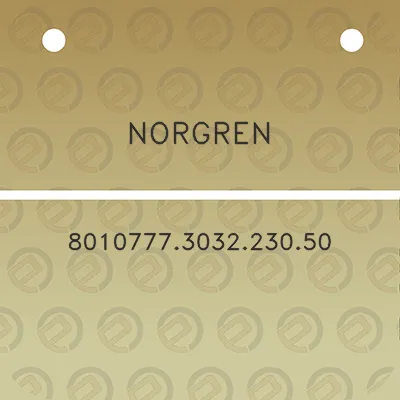 norgren-8010777303223050